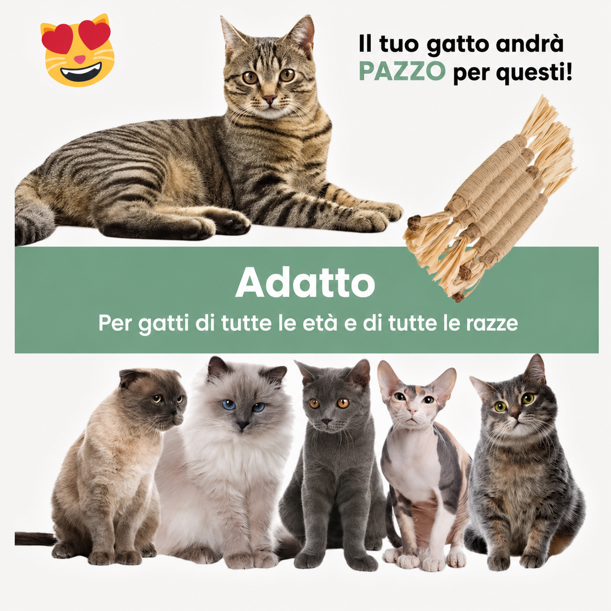 Bastoncini Matatabi Naturali