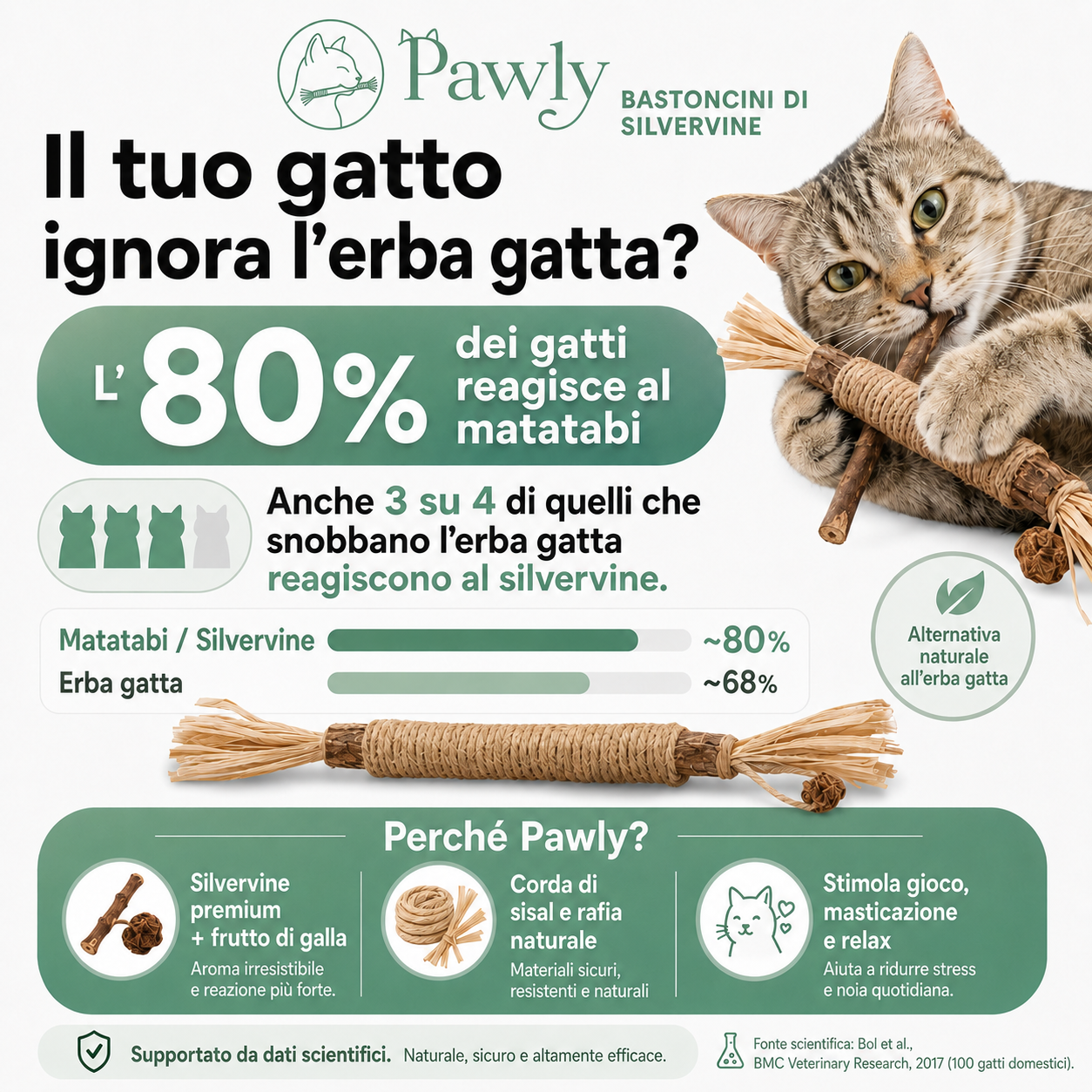 Bastoncini Matatabi Naturali