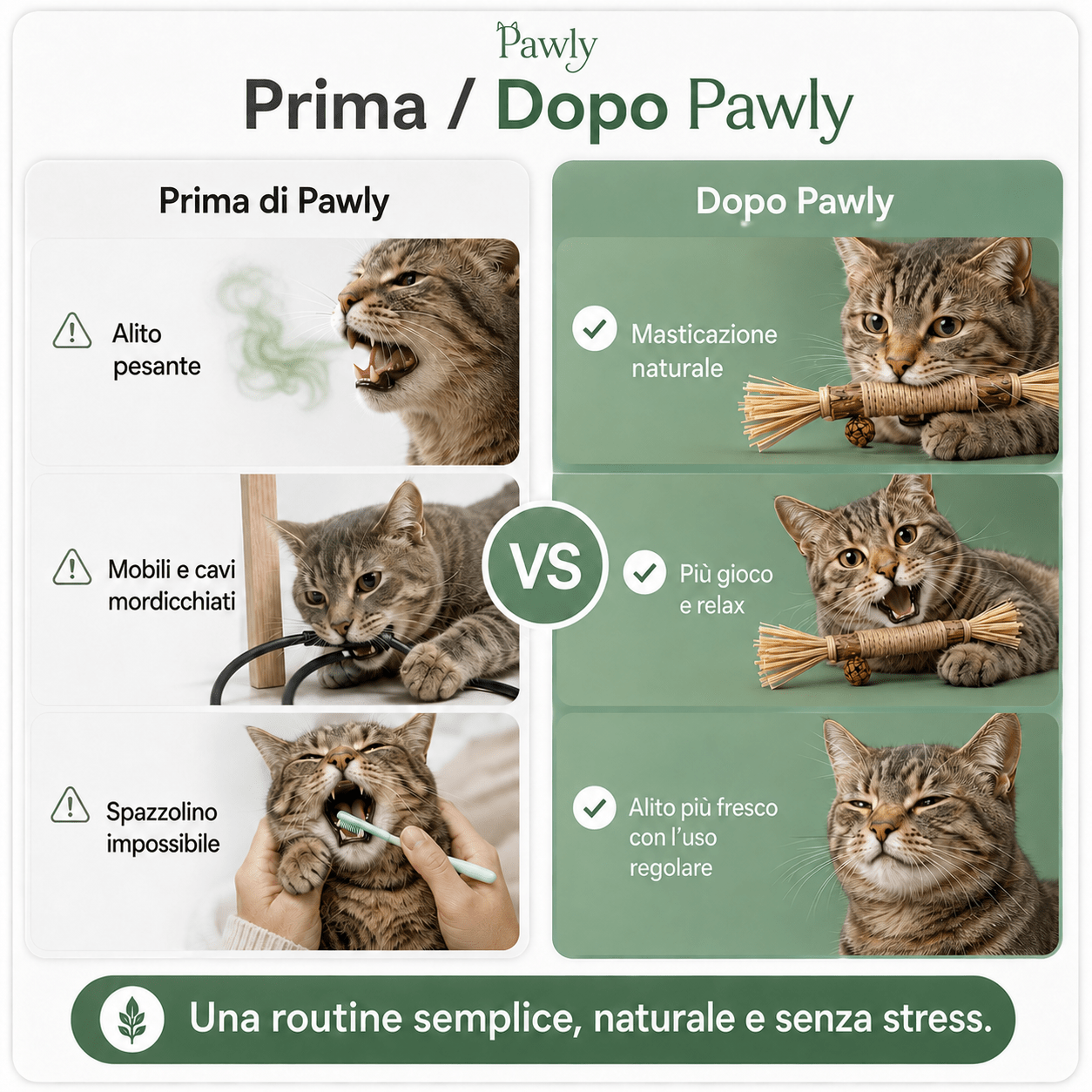 Bastoncini Matatabi Naturali - Pawly