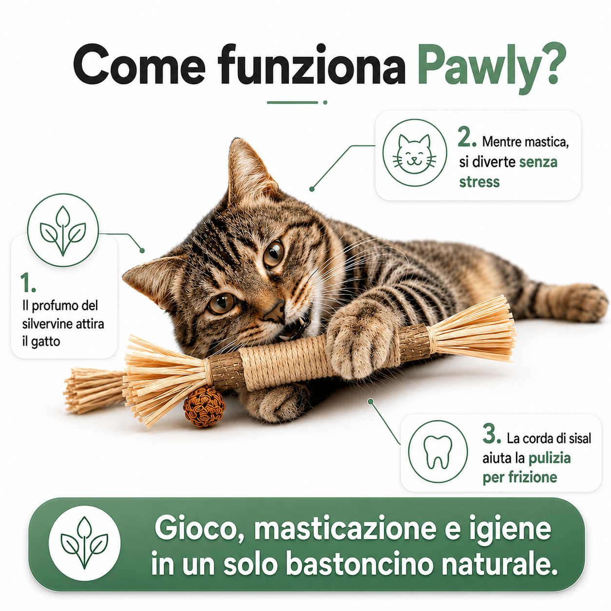 Bastoncini Matatabi Naturali - Pawly