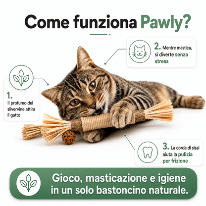 Bastoncini Matatabi Naturali - Pawly