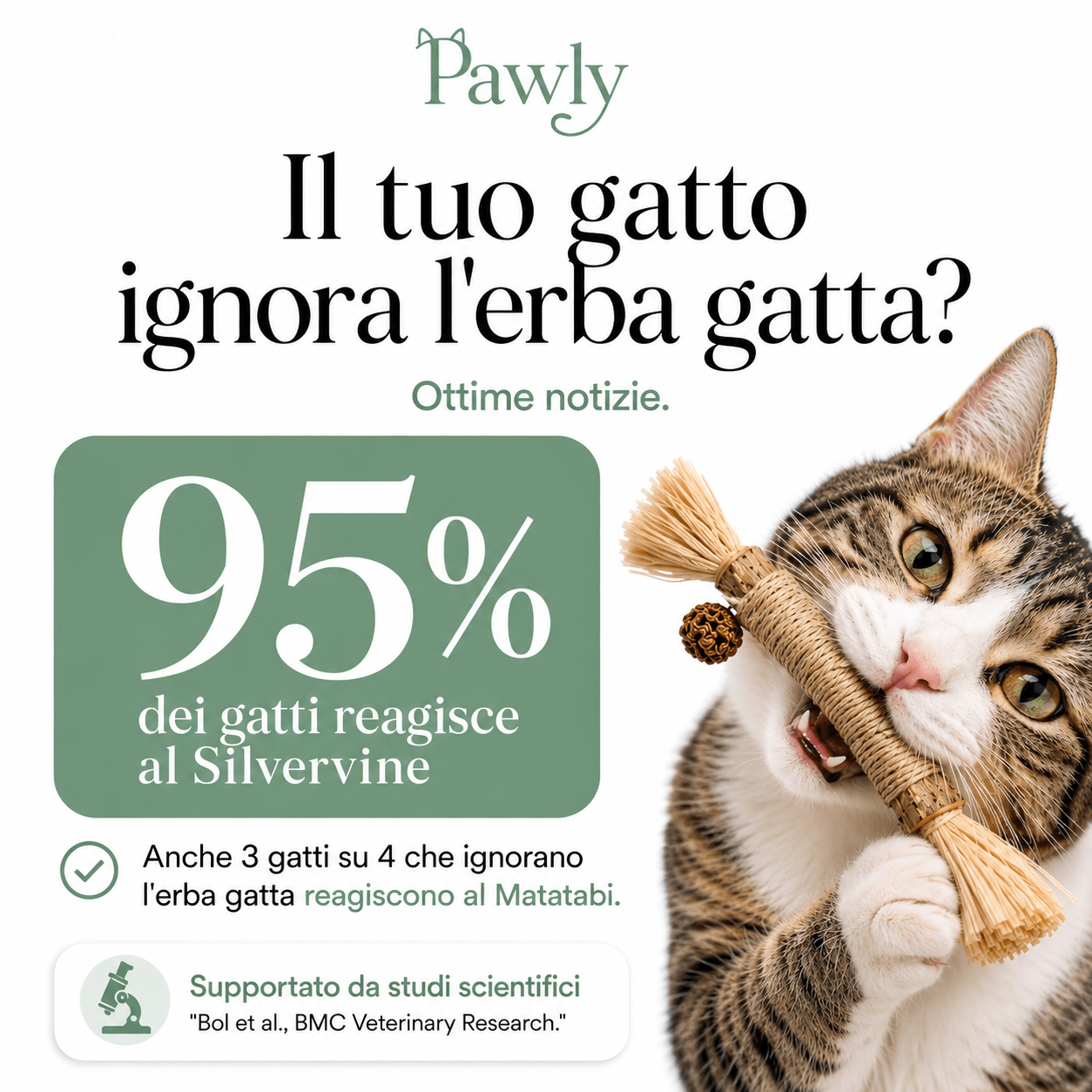 Bastoncini Matatabi Naturali - Pawly