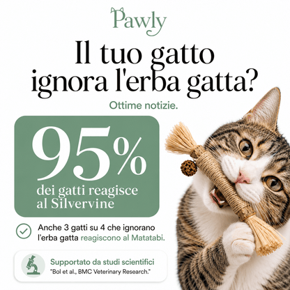 Bastoncini Matatabi Naturali - Pawly